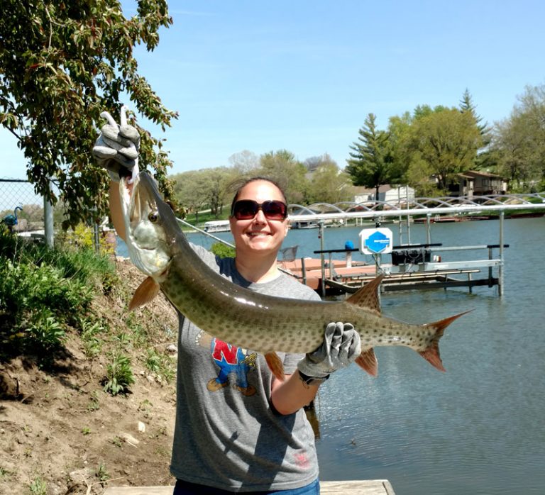 The Fish of Beaver Lake - Beaver Lake Association